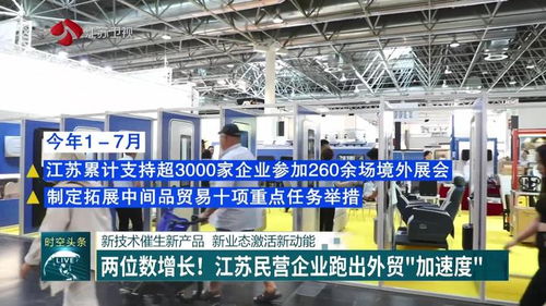 軟件技術(shù)服務(wù) 江蘇民營企業(yè)以兩位數(shù)增長跑出外貿(mào)新動能